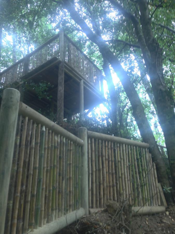 מלון ויאריקה Cabanas Bosques De Loncotraro מראה חיצוני תמונה