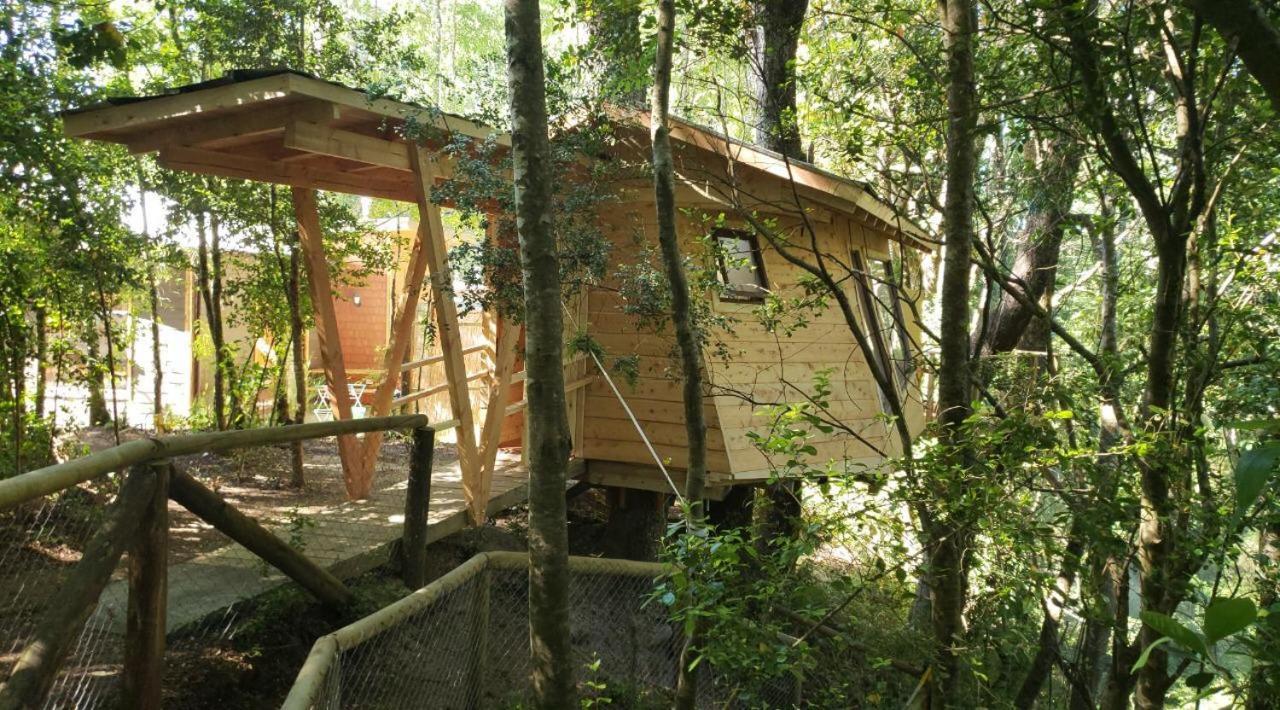 מלון ויאריקה Cabanas Bosques De Loncotraro מראה חיצוני תמונה