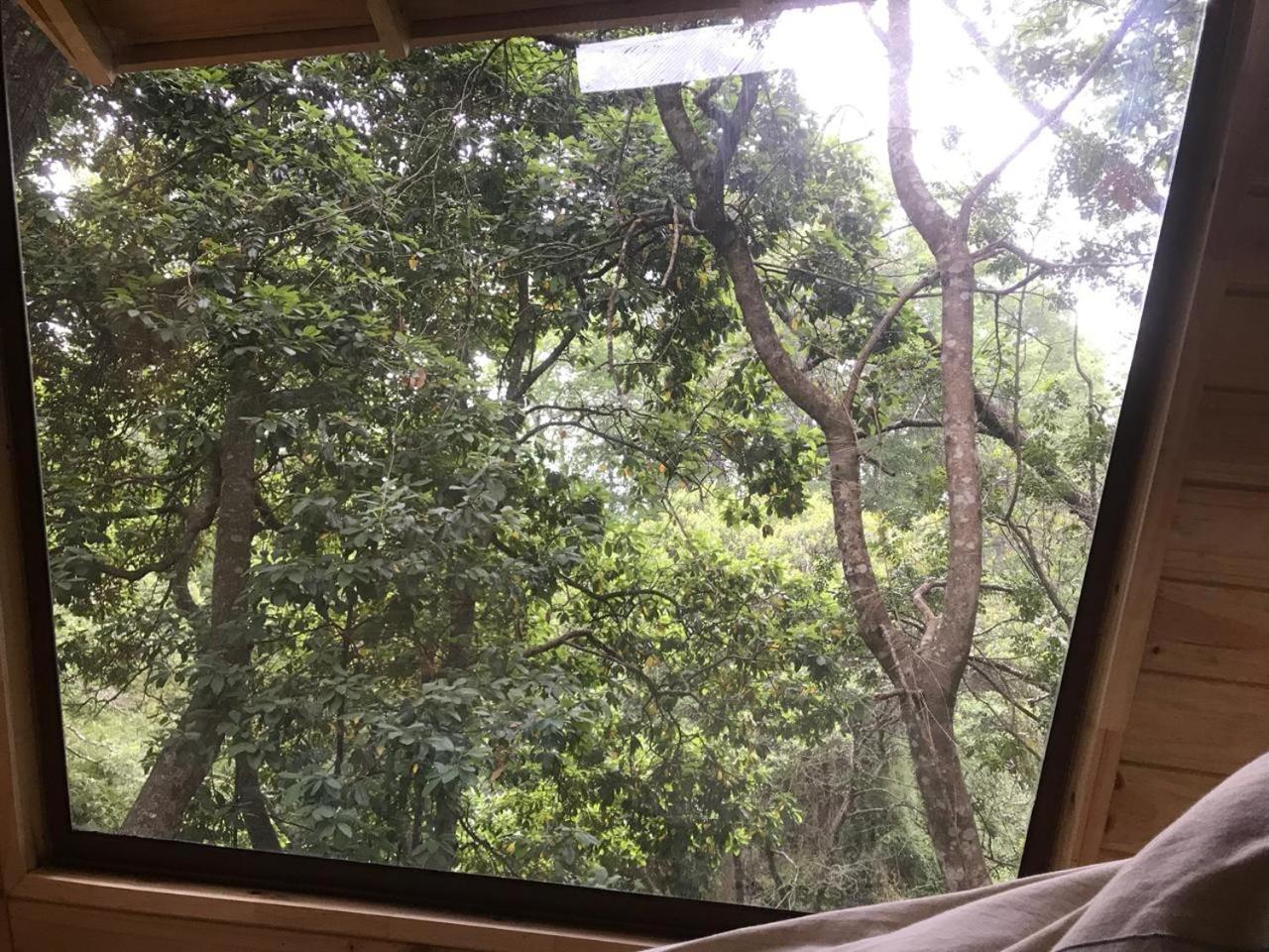 מלון ויאריקה Cabanas Bosques De Loncotraro מראה חיצוני תמונה