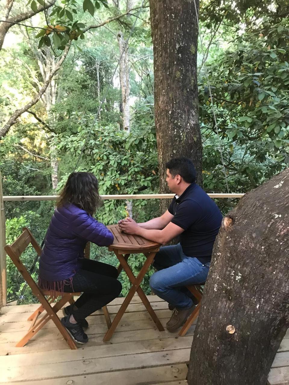 מלון ויאריקה Cabanas Bosques De Loncotraro מראה חיצוני תמונה