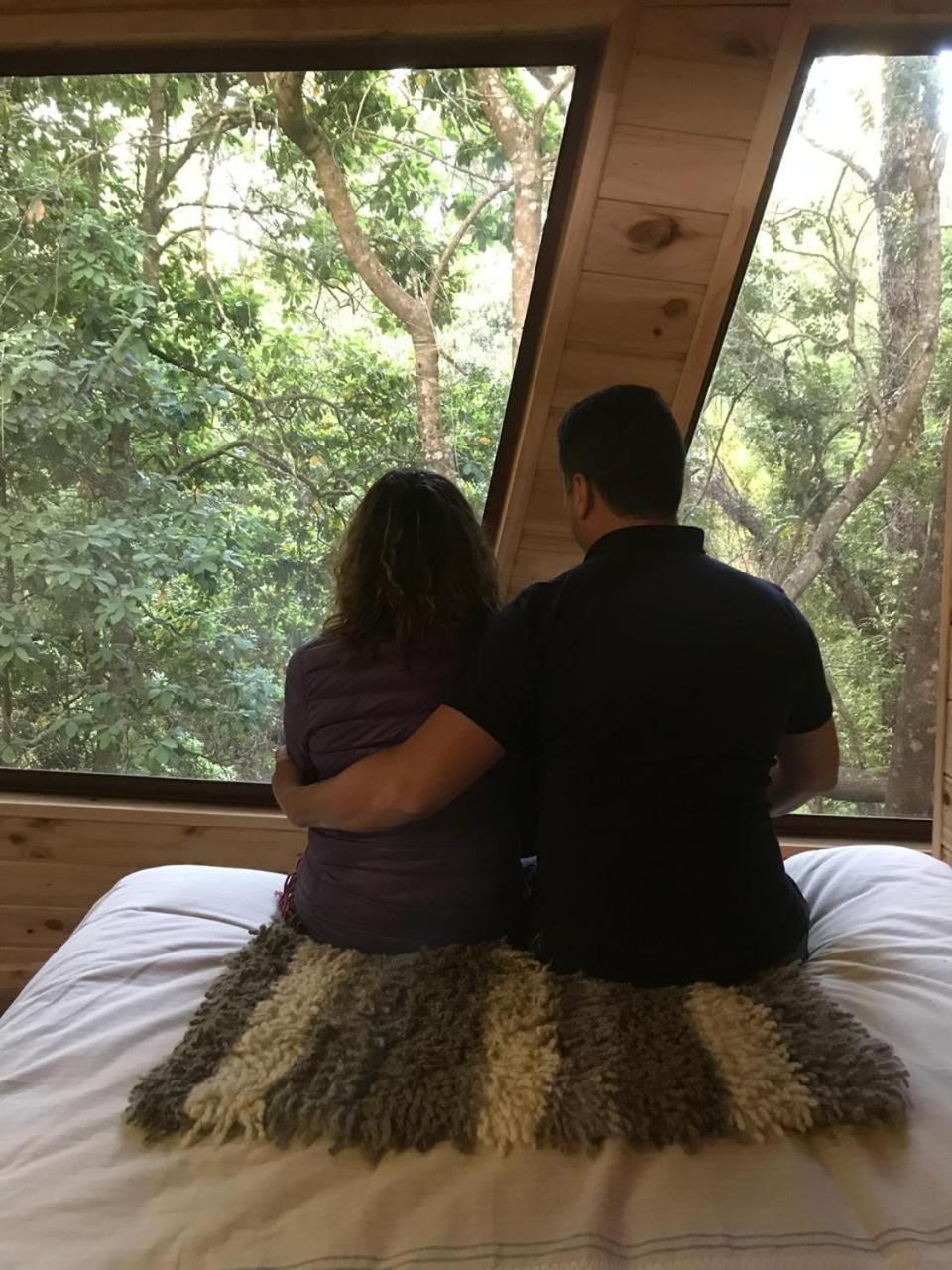 מלון ויאריקה Cabanas Bosques De Loncotraro מראה חיצוני תמונה
