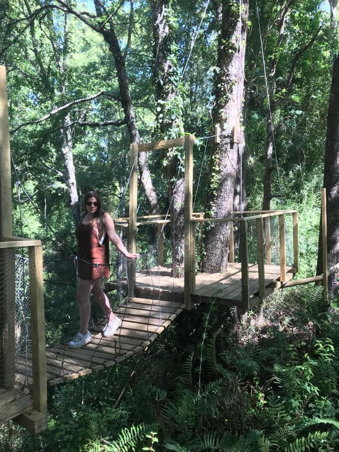 מלון ויאריקה Cabanas Bosques De Loncotraro מראה חיצוני תמונה