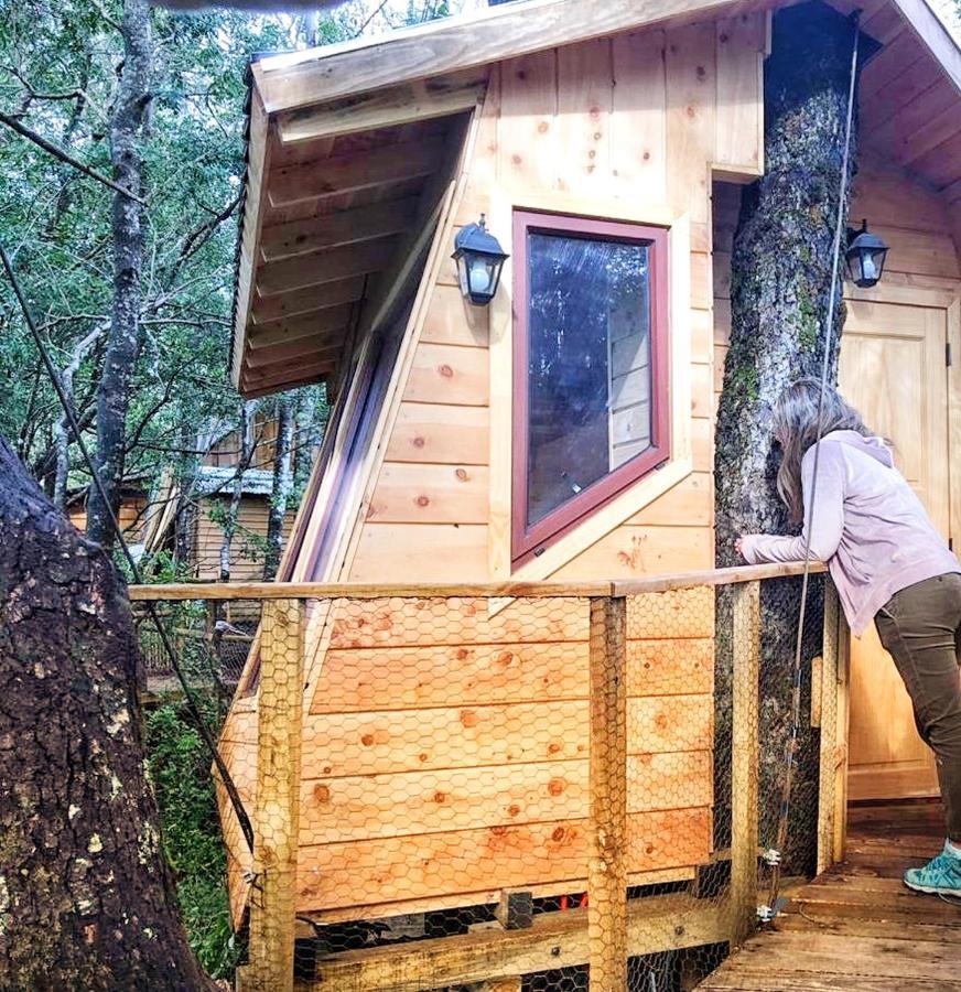 מלון ויאריקה Cabanas Bosques De Loncotraro מראה חיצוני תמונה