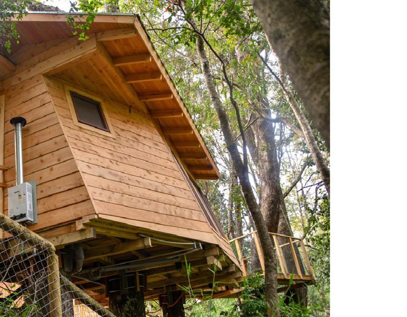 מלון ויאריקה Cabanas Bosques De Loncotraro מראה חיצוני תמונה