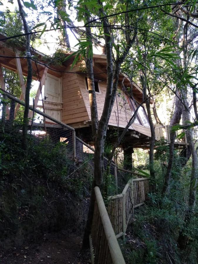מלון ויאריקה Cabanas Bosques De Loncotraro מראה חיצוני תמונה